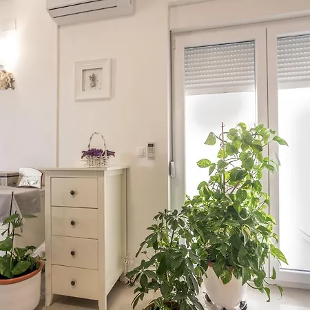 Apartment Sandrina