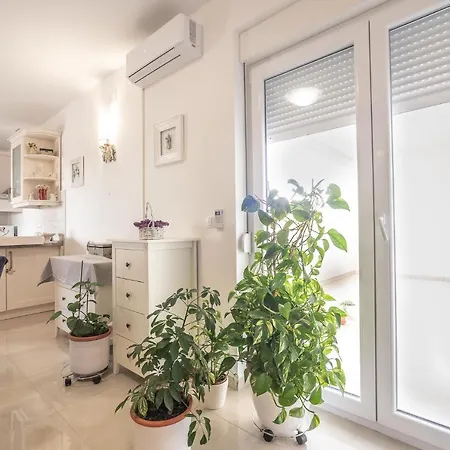 Sandrina Apartament *